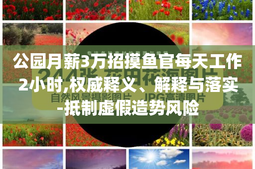公園月薪3萬招摸魚官每天工作2小時,權威釋義、解釋與落實-抵制虛假造勢風險