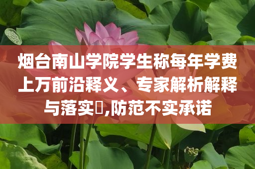 煙臺(tái)南山學(xué)院學(xué)生稱每年學(xué)費(fèi)上萬前沿釋義、專家解析解釋與落實(shí)?,防范不實(shí)承諾