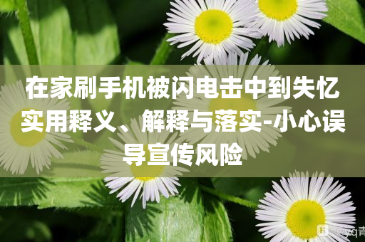 在家刷手機(jī)被閃電擊中到失憶實(shí)用釋義、解釋與落實(shí)-小心誤導(dǎo)宣傳風(fēng)險(xiǎn)