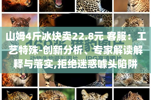 山姆4斤冰塊賣22.8元 客服：工藝特殊-創(chuàng)新分析、專家解讀解釋與落實(shí),拒絕迷惑噱頭陷阱