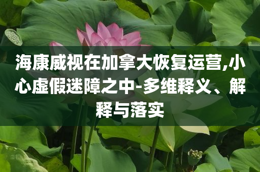海康威視在加拿大恢復運營,小心虛假迷障之中-多維釋義、解釋與落實