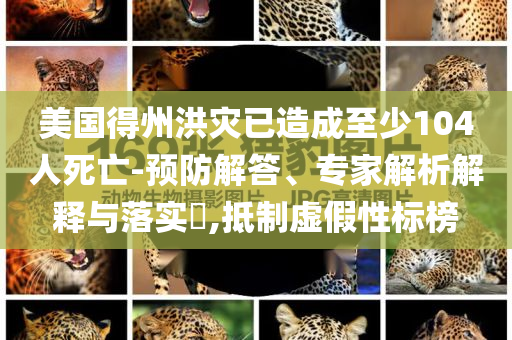 美國(guó)得州洪災(zāi)已造成至少104人死亡-預(yù)防解答、專家解析解釋與落實(shí)?,抵制虛假性標(biāo)榜