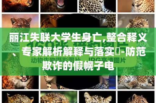麗江失聯(lián)大學(xué)生身亡,整合釋義、專家解析解釋與落實(shí)?-防范欺詐的假幌子電