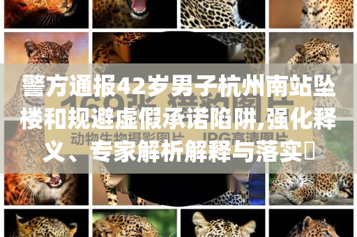 警方通報42歲男子杭州南站墜樓和規(guī)避虛假承諾陷阱,強(qiáng)化釋義、專家解析解釋與落實(shí)?