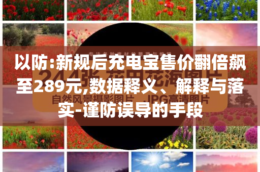 以防:新規(guī)后充電寶售價翻倍飆至289元,數(shù)據(jù)釋義、解釋與落實-謹(jǐn)防誤導(dǎo)的手段