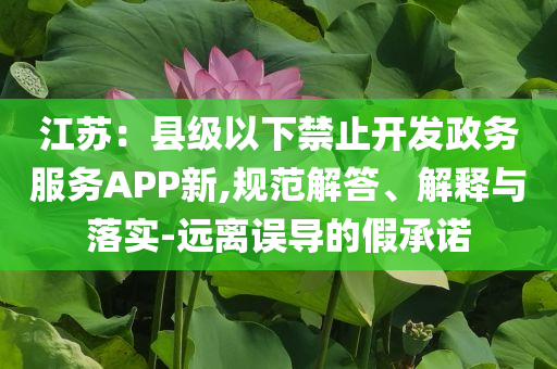 江蘇：縣級以下禁止開發(fā)政務服務APP新,規(guī)范解答、解釋與落實-遠離誤導的假承諾