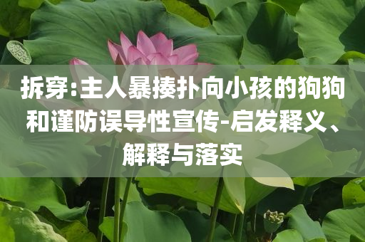 拆穿:主人暴揍撲向小孩的狗狗和謹(jǐn)防誤導(dǎo)性宣傳-啟發(fā)釋義、解釋與落實(shí)
