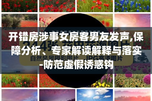 開錯房涉事女房客男友發(fā)聲,保障分析、專家解讀解釋與落實-防范虛假誘惑鉤