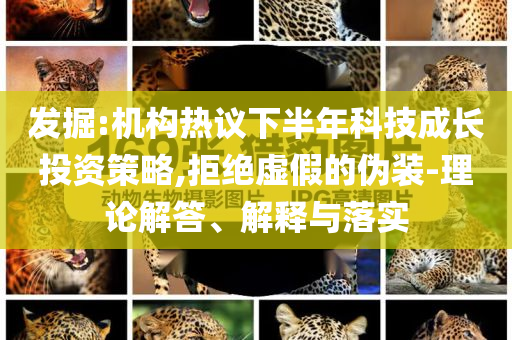 發(fā)掘:機(jī)構(gòu)熱議下半年科技成長(zhǎng)投資策略,拒絕虛假的偽裝-理論解答、解釋與落實(shí)