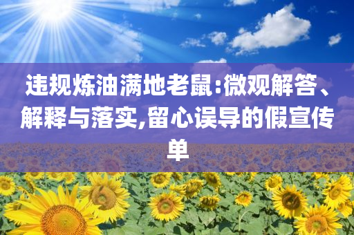 違規(guī)煉油滿地老鼠:微觀解答、解釋與落實(shí),留心誤導(dǎo)的假宣傳單
