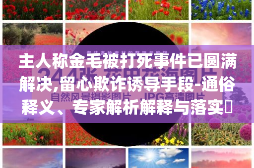 主人稱金毛被打死事件已圓滿解決,留心欺詐誘導(dǎo)手段-通俗釋義、專家解析解釋與落實(shí)?