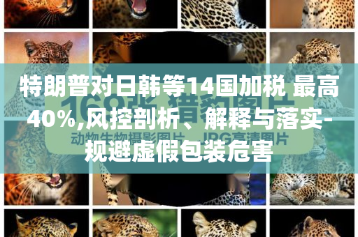 特朗普對(duì)日韓等14國(guó)加稅 最高40%,風(fēng)控剖析、解釋與落實(shí)-規(guī)避虛假包裝危害