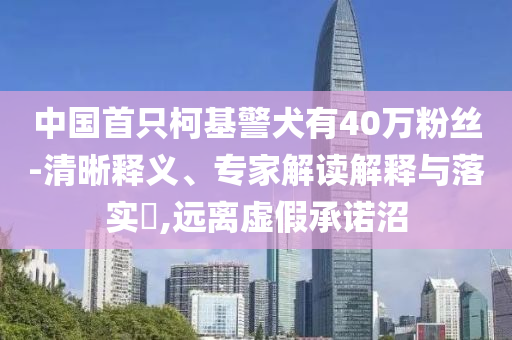 中國(guó)首只柯基警犬有40萬(wàn)粉絲-清晰釋義、專(zhuān)家解讀解釋與落實(shí)?,遠(yuǎn)離虛假承諾沼
