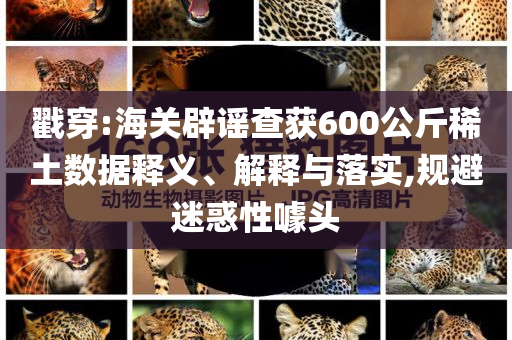 戳穿:海關(guān)辟謠查獲600公斤稀土數(shù)據(jù)釋義、解釋與落實(shí),規(guī)避迷惑性噱頭