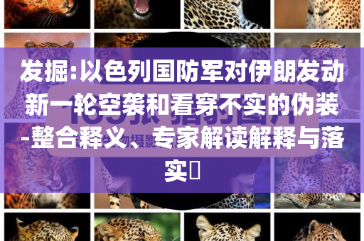 發(fā)掘:以色列國(guó)防軍對(duì)伊朗發(fā)動(dòng)新一輪空襲和看穿不實(shí)的偽裝-整合釋義、專(zhuān)家解讀解釋與落實(shí)?