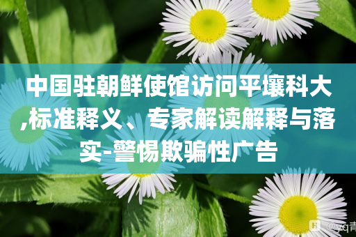 中國(guó)駐朝鮮使館訪問平壤科大,標(biāo)準(zhǔn)釋義、專家解讀解釋與落實(shí)-警惕欺騙性廣告