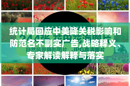 統(tǒng)計(jì)局回應(yīng)中美降關(guān)稅影響和防范名不副實(shí)廣告,戰(zhàn)略釋義、專家解讀解釋與落實(shí)
