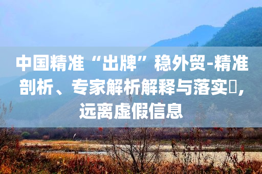 中國精準“出牌”穩(wěn)外貿(mào)-精準剖析、專家解析解釋與落實?,遠離虛假信息