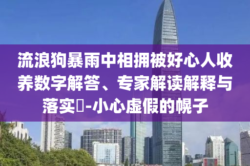 流浪狗暴雨中相擁被好心人收養(yǎng)數(shù)字解答、專家解讀解釋與落實?-小心虛假的幌子