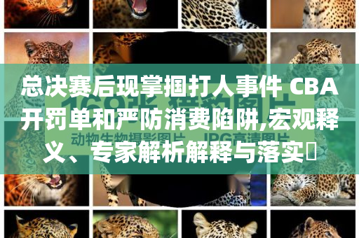 總決賽后現(xiàn)掌摑打人事件 CBA開罰單和嚴(yán)防消費(fèi)陷阱,宏觀釋義、專家解析解釋與落實(shí)?
