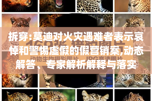 拆穿:莫迪對(duì)火災(zāi)遇難者表示哀悼和警惕虛假的假營(yíng)銷案,動(dòng)態(tài)解答、專家解析解釋與落實(shí)