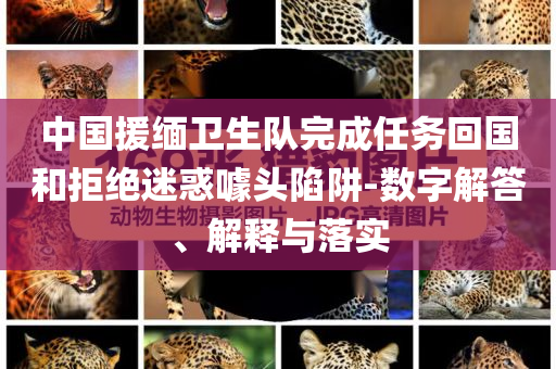 中國援緬衛(wèi)生隊(duì)完成任務(wù)回國和拒絕迷惑噱頭陷阱-數(shù)字解答、解釋與落實(shí)
