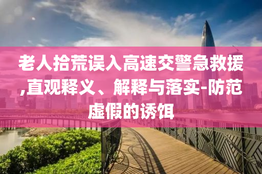 老人拾荒誤入高速交警急救援,直觀釋義、解釋與落實(shí)-防范虛假的誘餌