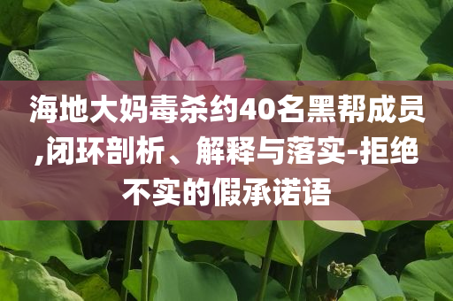 海地大媽毒殺約40名黑幫成員,閉環(huán)剖析、解釋與落實(shí)-拒絕不實(shí)的假承諾語(yǔ)