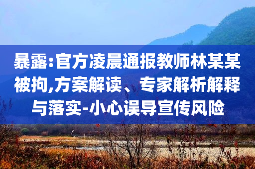 暴露:官方凌晨通報教師林某某被拘,方案解讀、專家解析解釋與落實-小心誤導宣傳風險