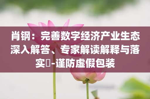 肖鋼：完善數(shù)字經(jīng)濟產(chǎn)業(yè)生態(tài)深入解答、專家解讀解釋與落實?-謹(jǐn)防虛假包裝