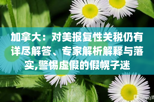 加拿大：對美報復(fù)性關(guān)稅仍有詳盡解答、專家解析解釋與落實,警惕虛假的假幌子迷
