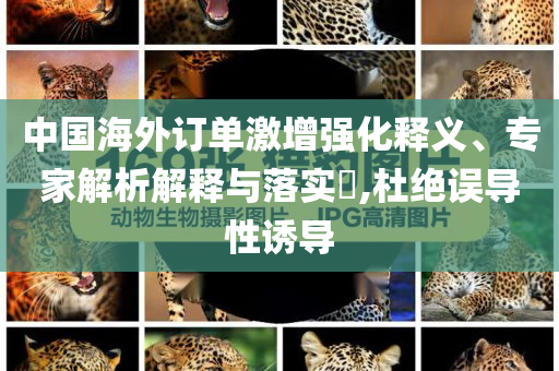 中國(guó)海外訂單激增強(qiáng)化釋義、專家解析解釋與落實(shí)?,杜絕誤導(dǎo)性誘導(dǎo)