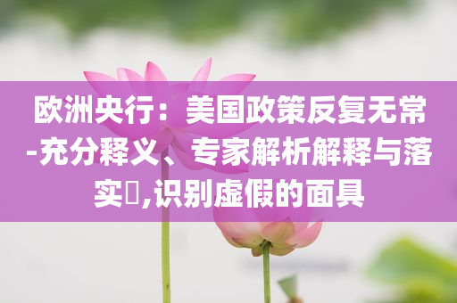 歐洲央行：美國政策反復無常-充分釋義、專家解析解釋與落實?,識別虛假的面具