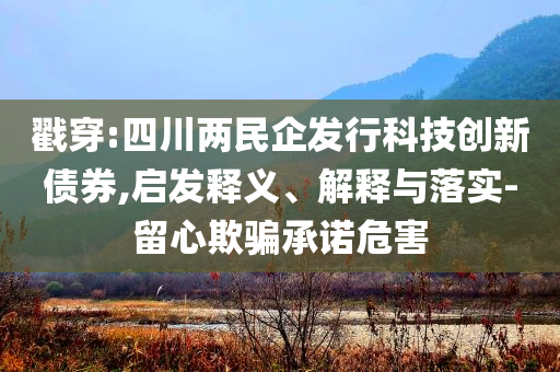 戳穿:四川兩民企發(fā)行科技創(chuàng)新債券,啟發(fā)釋義、解釋與落實-留心欺騙承諾危害