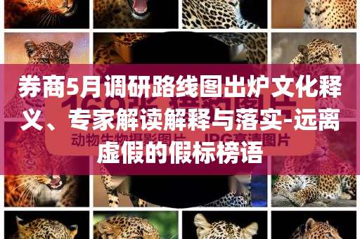 券商5月調(diào)研路線圖出爐文化釋義、專家解讀解釋與落實(shí)-遠(yuǎn)離虛假的假標(biāo)榜語(yǔ)