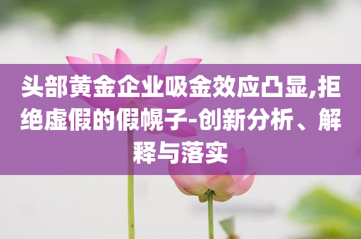 頭部黃金企業(yè)吸金效應(yīng)凸顯,拒絕虛假的假幌子-創(chuàng)新分析、解釋與落實(shí)