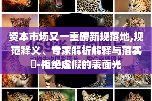 資本市場又一重磅新規(guī)落地,規(guī)范釋義、專家解析解釋與落實?-拒絕虛假的表面光