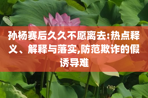孫楊賽后久久不愿離去:熱點釋義、解釋與落實,防范欺詐的假誘導(dǎo)難