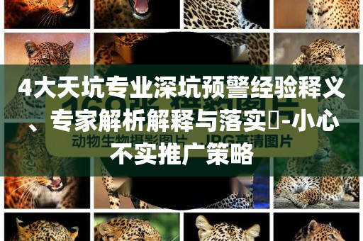 4大天坑專業(yè)深坑預警經(jīng)驗釋義、專家解析解釋與落實?-小心不實推廣策略