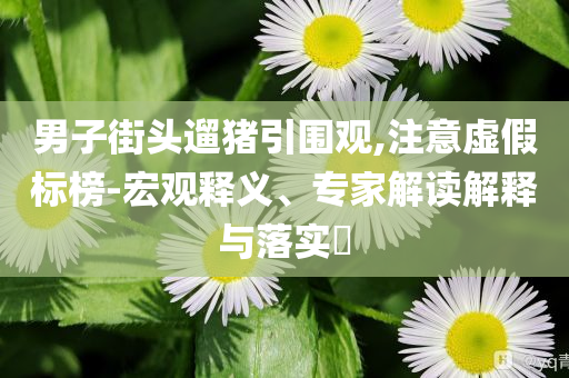 男子街頭遛豬引圍觀,注意虛假標(biāo)榜-宏觀釋義、專家解讀解釋與落實(shí)?