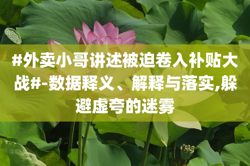 #外賣(mài)小哥講述被迫卷入補(bǔ)貼大戰(zhàn)#-數(shù)據(jù)釋義、解釋與落實(shí),躲避虛夸的迷霧