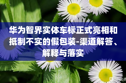 華為智界實(shí)體車標(biāo)正式亮相和抵制不實(shí)的假包裝-渠道解答、解釋與落實(shí)