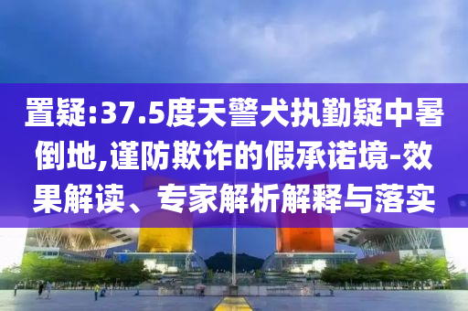 置疑:37.5度天警犬執(zhí)勤疑中暑倒地,謹(jǐn)防欺詐的假承諾境-效果解讀、專家解析解釋與落實