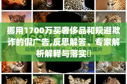 挪用1700萬買奢侈品和規(guī)避欺詐的假廣告,反思解答、專家解析解釋與落實?