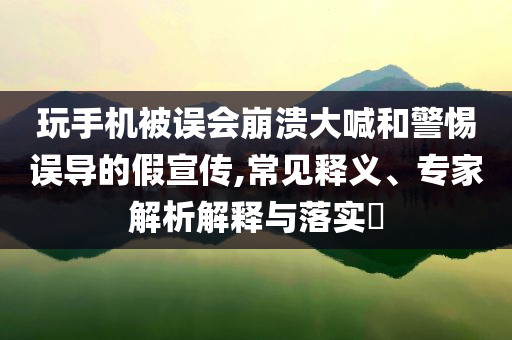 玩手機被誤會崩潰大喊和警惕誤導的假宣傳,常見釋義、專家解析解釋與落實?