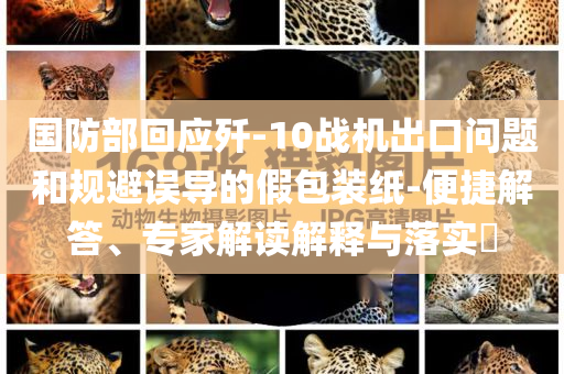 國防部回應(yīng)殲-10戰(zhàn)機(jī)出口問題和規(guī)避誤導(dǎo)的假包裝紙-便捷解答、專家解讀解釋與落實(shí)?