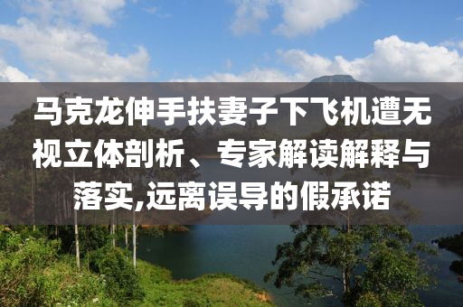 馬克龍伸手扶妻子下飛機遭無視立體剖析、專家解讀解釋與落實,遠(yuǎn)離誤導(dǎo)的假承諾