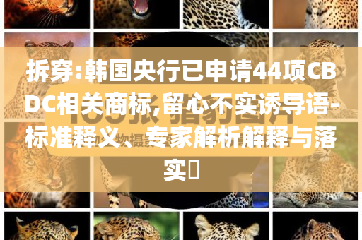 拆穿:韓國央行已申請44項CBDC相關(guān)商標(biāo),留心不實誘導(dǎo)語-標(biāo)準(zhǔn)釋義、專家解析解釋與落實?