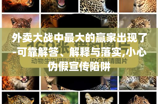 外賣大戰(zhàn)中最大的贏家出現(xiàn)了-可靠解答、解釋與落實(shí),小心偽假宣傳陷阱