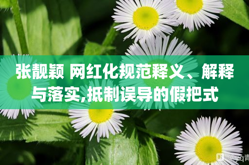 張靚穎 網(wǎng)紅化規(guī)范釋義、解釋與落實(shí),抵制誤導(dǎo)的假把式
